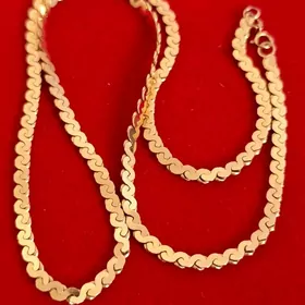 Gyzyl zmeyka rosisskiy