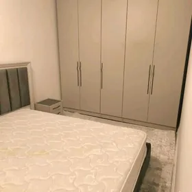 Satlyk elitka Olimpski alimpsk