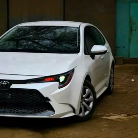 Toyota Corolla 2022