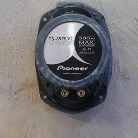 pioneer kalonka