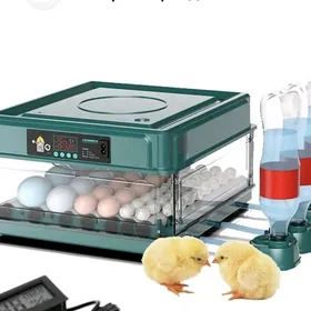 УМНЫЙ инкубатор