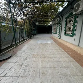 Аренда Ак-Алтын (ПланДом)