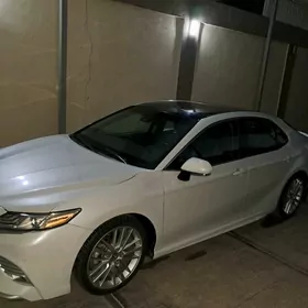 Woditel (водител).