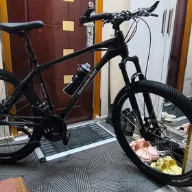 Mercedes Benz original