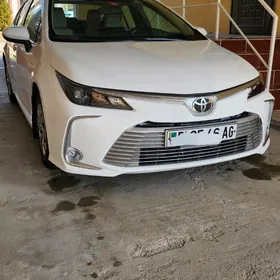 Toyota Corolla 2021
