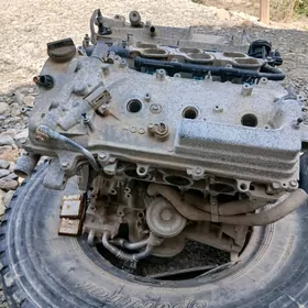 3,5 mayor haÿlandyr