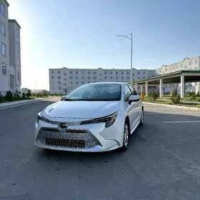 Toyota Corolla 2020