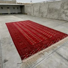 3.30 5.80 gyzylarbat el haly