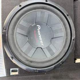 pioneer 1000W