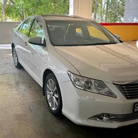 Toyota Aurion 2013