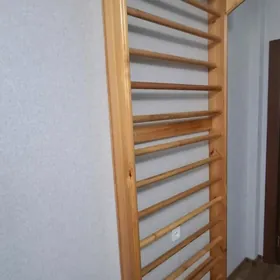 швецкая лестница