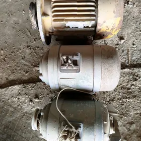 Elektodwigatel. mator