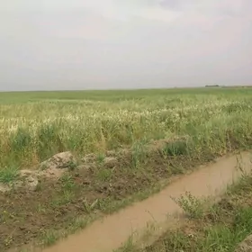 23 gektar yorunja yer gyssagly