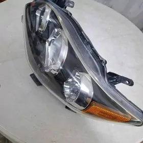 Corolla Fara - Фара