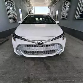 Toyota Corolla 2022