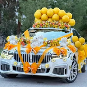 caga masyn bezeg mersedes bmw