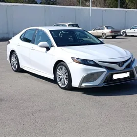 Toyota Camry 2022