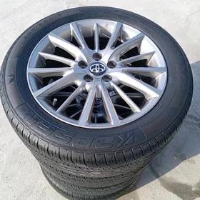 Karolla Haliji Dysga pakryşga