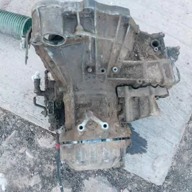 71 lik sag rol babycka karopka