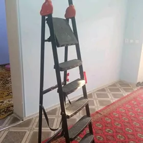 Леса и лестница