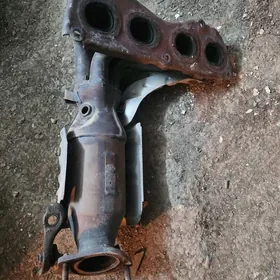 öküz kelle kollektor