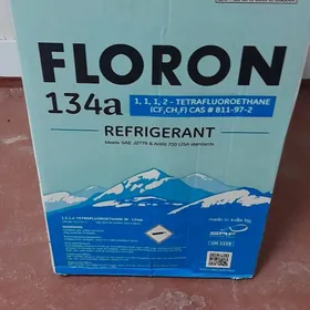 freon floron 134