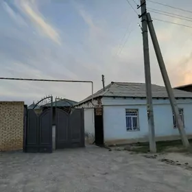 howly jay shaherde eyesinden