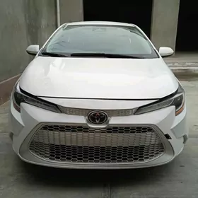 Toyota Corolla 2021