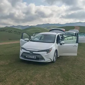 Toyota Corolla 2022
