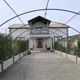 Taýyn biznesli "amatra" daca.