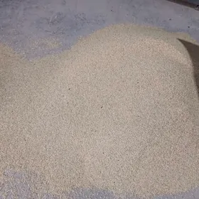 "Mün baş" Şaly tuhum