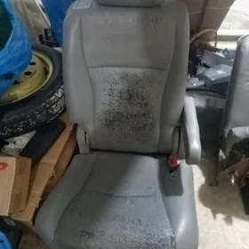 Haýlandyr sideniýa