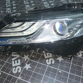 Camry 18-23 Haliji fara