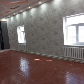 Ataplenya Atapleniÿa cekyaris