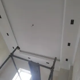 Ussa Gerek Alcipancy