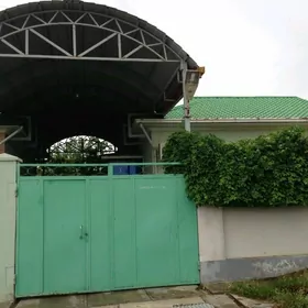 дача в аннау (геолог)