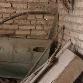 carina woditel tarap gapy