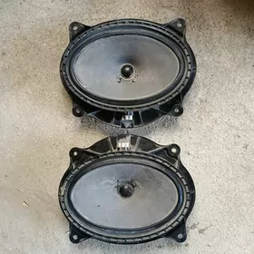 Tayota kalonka dutu cemri