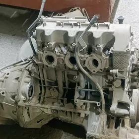 Motor karopka bile