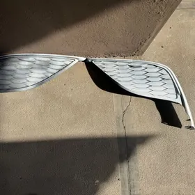 tumannik açki camry