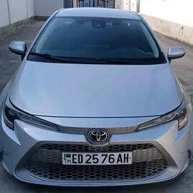 Toyota Corolla 2020
