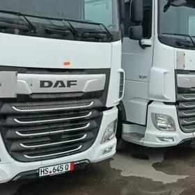 DAF 480 2021