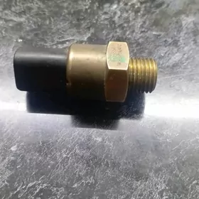 BMW Radiatorda duryan datcik