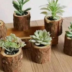 gul salynyan agacdan owadan we