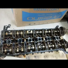 Golovka Головка