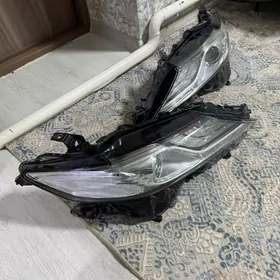 Fara Yewropeyka zawaskoy