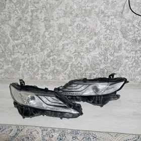 Fara Yewropeyka mordo