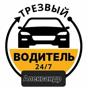 трезвый водитель