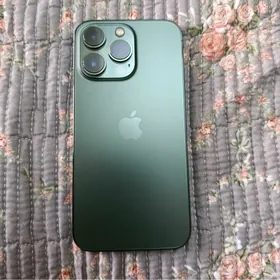 iphone 13pro