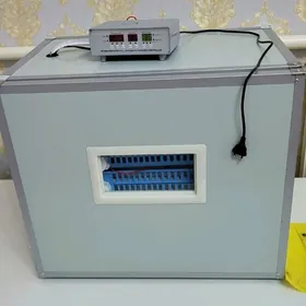 inkubator инкубатор